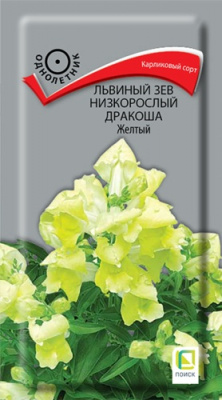 lviniy_zev_nizkorosliy_drakosha_jeltiy