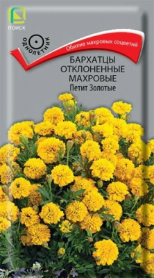 Бархатцы отклоненные махровые Петит золотые