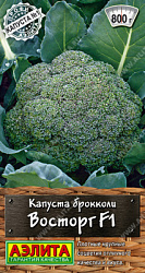 Восторг