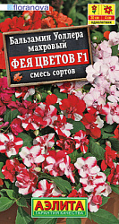 Бальзамин махровый Фея цветов F1, смесь сортов_ЦП