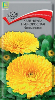 Календула низкорослая Фиеста желтая