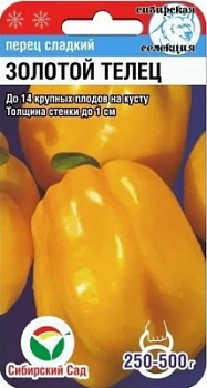 золотой телец