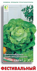salat_festivalny