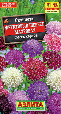Скабиоза Фруктовый щербет махровая, смесь окрасок_ЦП
