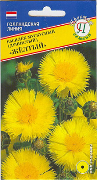 Василек желтый мускус