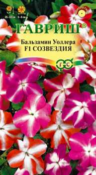 Созвездия