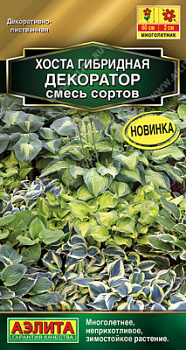 Хоста декоратор