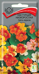 nastrucia_nizkorosl_smes_okrasok