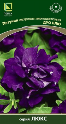 petunia_mahrov_mnogocvet_duo_blue