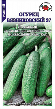 Огурец Вязниковский