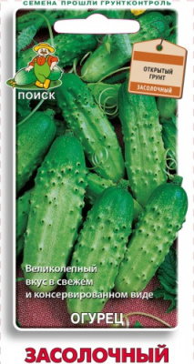 Ogurec ZASOLOCHNYJ