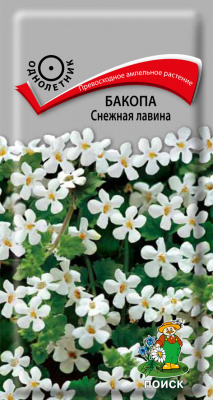 Бакопа Снежная лавина