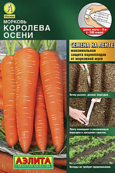 Морковь Королева осени_Л