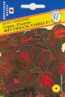 Колеус Фестиваль танца