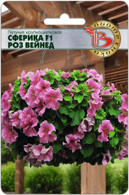 Петуния Сферика роз вейнед