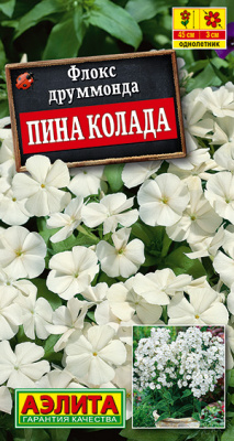 Флокс друммонда крупноцветковый Пина колада_ЦП