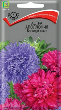 Астра Аполлония Восход и закат