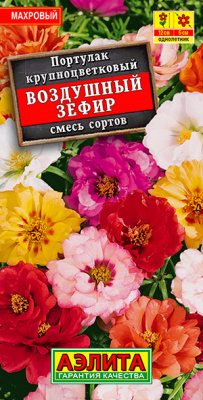 Портулак Воздушный зефир, смесь сортов_ЦП