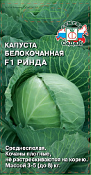 kapusta_rinda_f1
