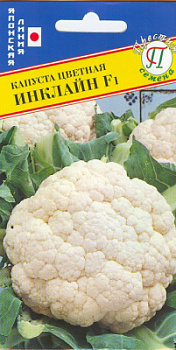 Капуста Инклайн