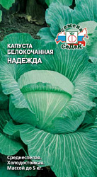 kapusta_nadezhda