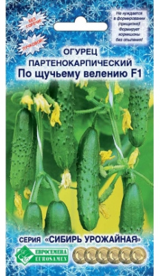 Огурец По Щучьему велению партенокарпик