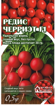 Черриэт