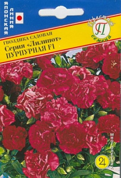 Гвоздика Пурпурная
