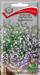 Лобелия плетистая Лиловый фонтан