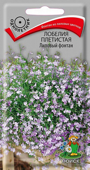 Лобелия плетистая Лиловый фонтан