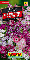 Флокс Мгновение красоты