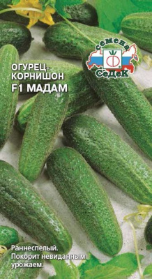 Огурец мадам