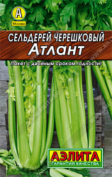 Сельдерей черешковый Атлант