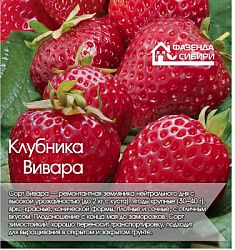 Вивара