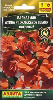 бальзамин Афина