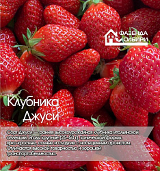 Джуси