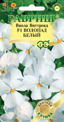 Виола белый