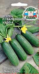 ogurets_balkonnoe_chudo_4_f1