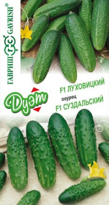 Лух и сузд