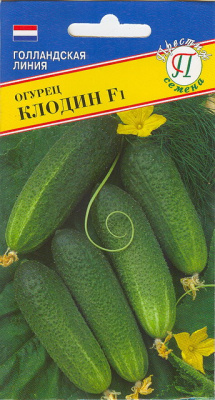 Огурец Клодин