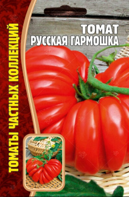 Гармошка