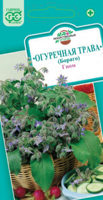 Гном