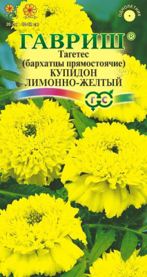 Бархатцы Купидон лимонно-желтый
