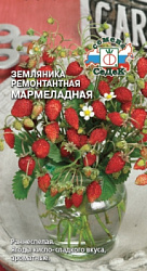 zemlyanika_remontantnaya_marmeladnaya