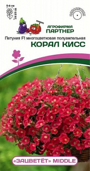 Петуния зацветет корал кисс