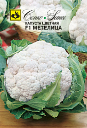 kapusta_cvetnaya_metelica