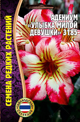 Адениум улыбка милой девушки