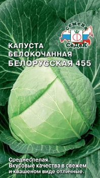 kapusta_belorusskaya_455