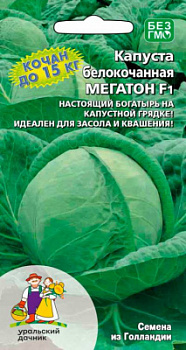 kapusta-belokochannaya-megatonn-f1