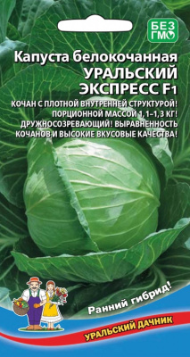 kapusta-belokochannaya-uralskiy-ekspress-f1